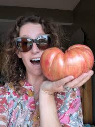 A rare heirloom tomato admired by growers and chefs worldwide. Pink Jazz  captivates with its soft rose-pink skin brushed with golden streaks, like a  living watercolor. Each fruit is large, meaty, and