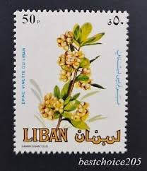 Image result for Yellow 1984 UMM