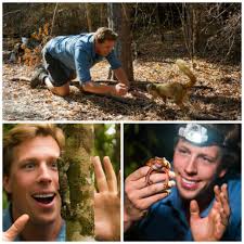 Dvd Freeks Wilde Wereld Deel 5 Recensie Wereld Dvd Dieren