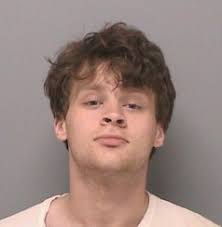 Arrests in Multiple Cases! Yesterday evening, Mt. Vernon Police Officers  made contact with 19-year-old Brian E. Needy and a 15-year-old juvenile in  the 2700 block of Logan Street in Mt. Vernon, IL.