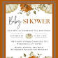 WIC Baby Shower — LACTATION RESOURCES OF VERMONT event image
