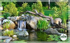 Image result for garden pond ideas