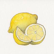 Nsjulia Lemon Art Lemon Drawing Art Painting