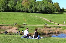 In deutschland besteht seit 1993. Hohenheimer Garten Kaum Einer Halt Sich An Die Maskenpflicht Plieningen Stuttgarter Zeitung