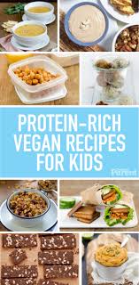 Protein Rich Vegetarian Recipes Kids Will Love Vegetarian Meals For Kids Vegan Kids Recipes Vegan Kids