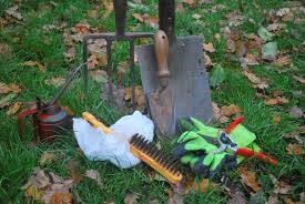 What do you need to have a thriving spring garden? 10 Ideas To Get Your Garden Ready For Spring