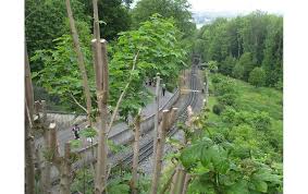 Die 1883 in betrieb genommene drachenfelsbahn ist die älteste der vier noch betriebenen zahnradbahnen in deutschland. Drachenfelsbahn Konigswinter Objektansicht