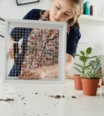 Vertikaler Garten Fur Innen Selber Machen Indoor Gardening Leicht Gemacht Tolle Diy Idee Vertikaler Garten Vertikaler Garten Diy Vertikale Landwirtschaft