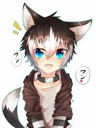 Chibi Anime Boys Cat Mama S Little Soldier Anime Cat Boy Wolf Boy Anime Anime Chibi wolf boy anime