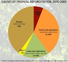 Pie Chart Showing Causes Of Tropical Deforestation Drivers