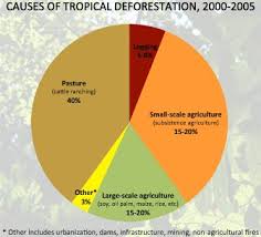 pie chart showing causes of tropical deforestation drivers