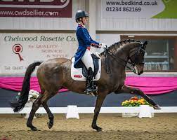 Mount st john, specialising in breeding dressage horses of the highest standard and are currently breeding with around thirty quality dressage mares per season. Catch Ride Erlentanz Keeps Dujardin In The Spotlight At Beginning Of 2019 Cdi Big Tour Show Season