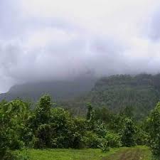 Based on total acres currently listed for sale on lands of america, texas is among the top three states in the country for land and rural property for sale. 105 Acres 55 Acres 50 Acres Plot Land For Sale Khushi Lands Properties Mumbai Id 2191476812
