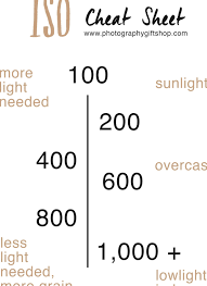 Do You Need Help Understanding Iso Our Photography Cheat Sheet Will Give You Our Ti Wedding Photography Cameras Family Wedding Photos Photography Cheat Sheets