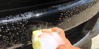 Another option is to purchase a product created to handle this specific type of job. How To Remove Bugs And Tar
