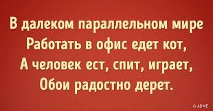 7 otchayanno veselyh otkrytok nedeli vdohnovlyayushie citaty citaty rabota yumor