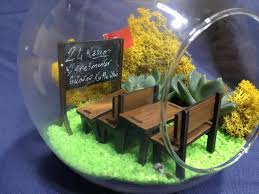 Ogretmenler Gunu Terrarium Balikesir Cicek Cesitleri Hizli Teslimat Cicek Terrarium Hediyeler