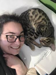 We usually put out food for strays and feral cats, but this guy/girl has  started showing up for breakfast and dinner and clearly has a home  somewhere. He is friendly, but shy