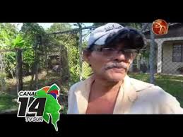 Noticias de Usted denuncia