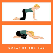 Pin On Sweat Of The Day