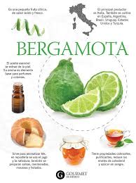 Usos Y Beneficios De La Bergamota Gourmet De Mexico Vive El Placer De La Gastronomia Frutas Y Verduras Beneficios Nutricion Beneficios De Alimentos