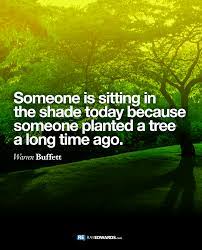 Someone Is Sitting In The Shade Today Ray Edwards