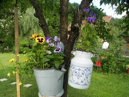 Rezervari online si prin telefon in pensiunea iedera se situeaza pe valea pianului, intre doua dealuri impadurite, la 18 km de sebes si 25 km de alba iulia cu acces direct din autostrada a1 la km 316 si. Pensiunea Iedera Casa De Familii 3 Pianu De Sus Alba Romania 16 Guest Reviews Book Hotel Pensiunea Iedera Casa De Familii 3