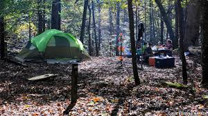 Find traveler reviews, candid photos, and prices for camping in great smoky mountains national park, tennessee, united states. Great Smoky Mountains National Park Big Creek Campground