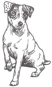We did not find results for: Puppy Jack Russell Coloring Page Novocom Top