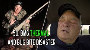 Bear — The High Road