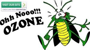 Our company offers green and organic pest control options. Scorpion Control Phoenix Az 2019 480 493 5028 Ozone Pest Control Youtube