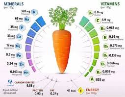 vitamin chart of different foods part 1 nutrients in