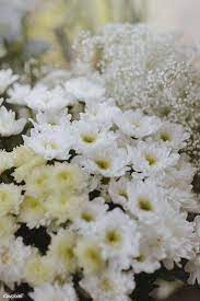 White Gerbera Daisy And White Caspia Free Image By Rawpixel Com Karolina Kaboompics Gerbera Daisy Gerbera Gerbera Daisy Bouquet