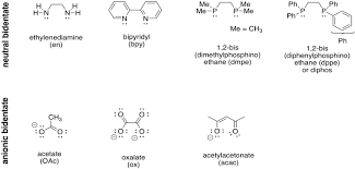 Check spelling or type a new query. Transition Metal Complexes