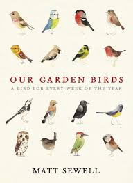 Uk Birds With Yellow Feathers Gorgeous Watercolour Paintings Of British Birds Bird Book Bird Garden Bird Illustration