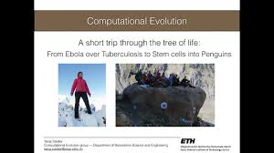 Tanja stadler ist deutsche mathematikerin und lehrerin für computerentwicklung ander eidgenössischen technischen hochschule (eth zürich). Tanja Stadler A Short Trip Through The Tree Of Life Youtube