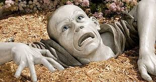 Gardening the alternative way with Lynne Allbutt