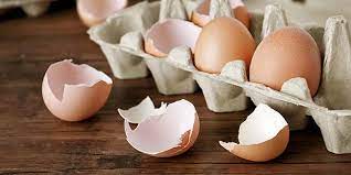 Why You Should Never Put Eggshells Down Your Garbage Disposal