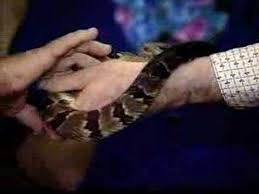 Image result for photo of people in church with rattlesnakes