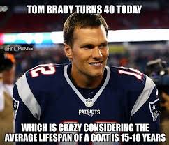 Team Spirit Store Nfl Goat Patriots Tombrady Funny Memes Facebook