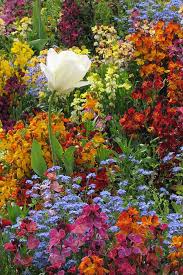 میهن بلاگ، ابزار ساده و قدرتمند ساخت و مدیریت وبلاگ. Perfect Garden By Frank Townsley Beautiful Gardens Planting Flowers Perfect Garden