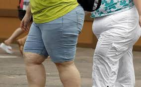 Billedresultat for being fat