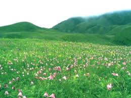 Manipur Zoological Garden In Manipur India Manipur Zoological Garden National Parks