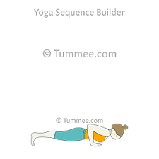 Maybe you would like to learn more about one of these? Four Limbed Staff Pose Yoga Chaturanga Dandasana Yoga Sequences Benefits Variations And Sanskrit Pronunciation Tummee Com