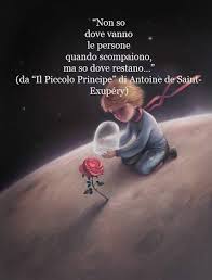 Il Piccolo Principe Citazioni Divertenti Citazioni Sagge Citazioni Significative