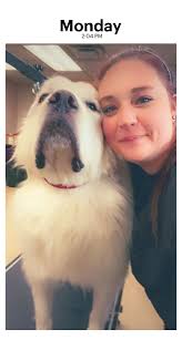 Good morning everyone! My name is Heidi and I am a pet groomer at Groombar 