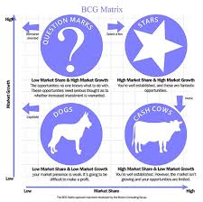 Using The Boston Consulting Group Product Matrix To