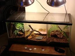 Img Reptile Tank Terrarium Vivarium
