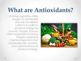 Antioxidants Prezentaciya Onlajn