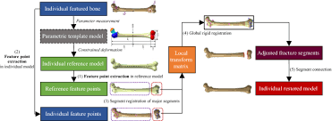 Digital replica of the left humerus from a dog (canis lupus familiaris). Reconstruction Individual Three Dimensional Model Of Fractured Long Bone Based On Feature Points Springerlink